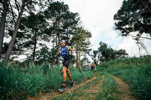 BIB: 
                            <button type="button" onclick="openModal(26036266)" class="btn btn-primary btn-sm float-right btn-popup" data-toggle="modal" data-target=".modal-high-quality">
                        <i class="fas fa-shopping-cart"></i> Add to Cart
                    </button>
                                            <button type="button" onclick="isThisMe(26036266, true)" class="btn btn-success btn-sm float-right btn-popup btn-isme hidden" data-toggle="tooltip" data-placement="bottom" title="นี่คือรูปของคุณใช่ไหม คลิกที่นี่เพื่อเอาเข้าอัลบั้ม">
                        <i class="fas fa-plus"></i> Add to album
                    </button>
                    <button type="button" onclick="isThisMe(26036266, false)" class="btn btn-warning btn-sm float-right btn-popup btn-isnotme hidden">
                        <i class="fas fa-ban"></i> Remove from album
                    </button>